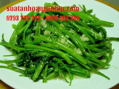 Rau Muốn Xào Tỏi